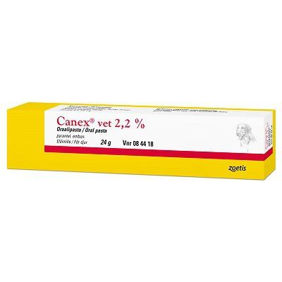 CANEX VET 2.2 % 24 g oraalipasta
