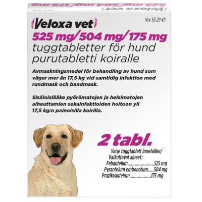 VELOXA VET 525 mg / 504 mg / 175 mg 2 fol purutabletti