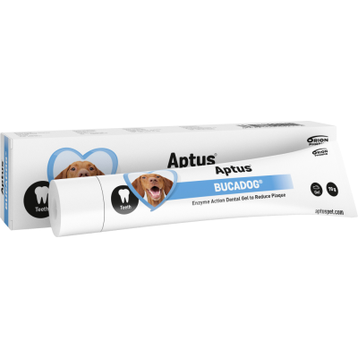 Aptus Bucadog vet hammasgeeli 70 g