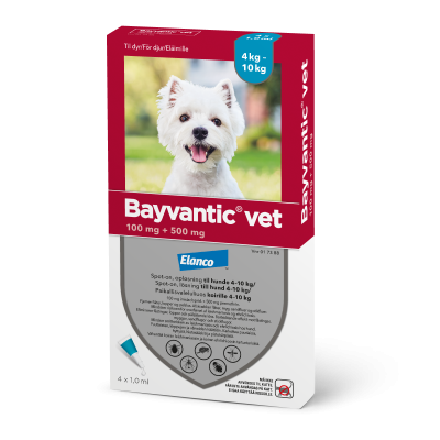 BAYVANTIC VET 100/500 mg 4 x 1 ml paikallisvaleluliuos koirille 4-10 kg