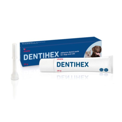 Dentihex kiinnittyvä dentaalipasta 20 g