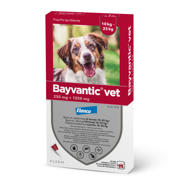 Bayvantic vet paikallisvaleluliuos 1250/250 mg koirille 10–25 kg 4 x 2.5 ml